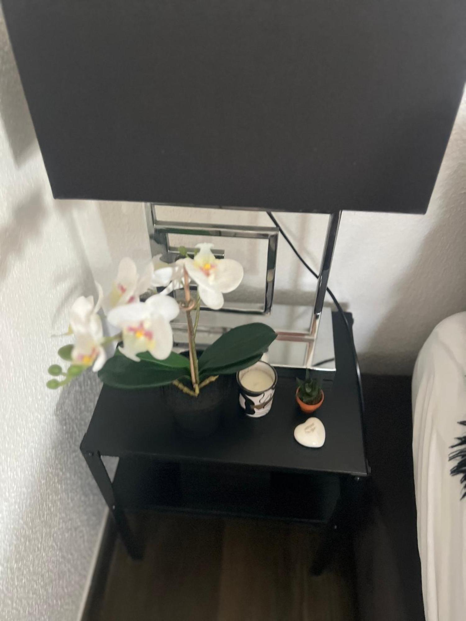 Studio Zürich Eksteriør billede